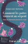 vignette