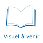 La critique de la religion chez Spinoza ou les fondements de la science spinoziste de la Bible vignette